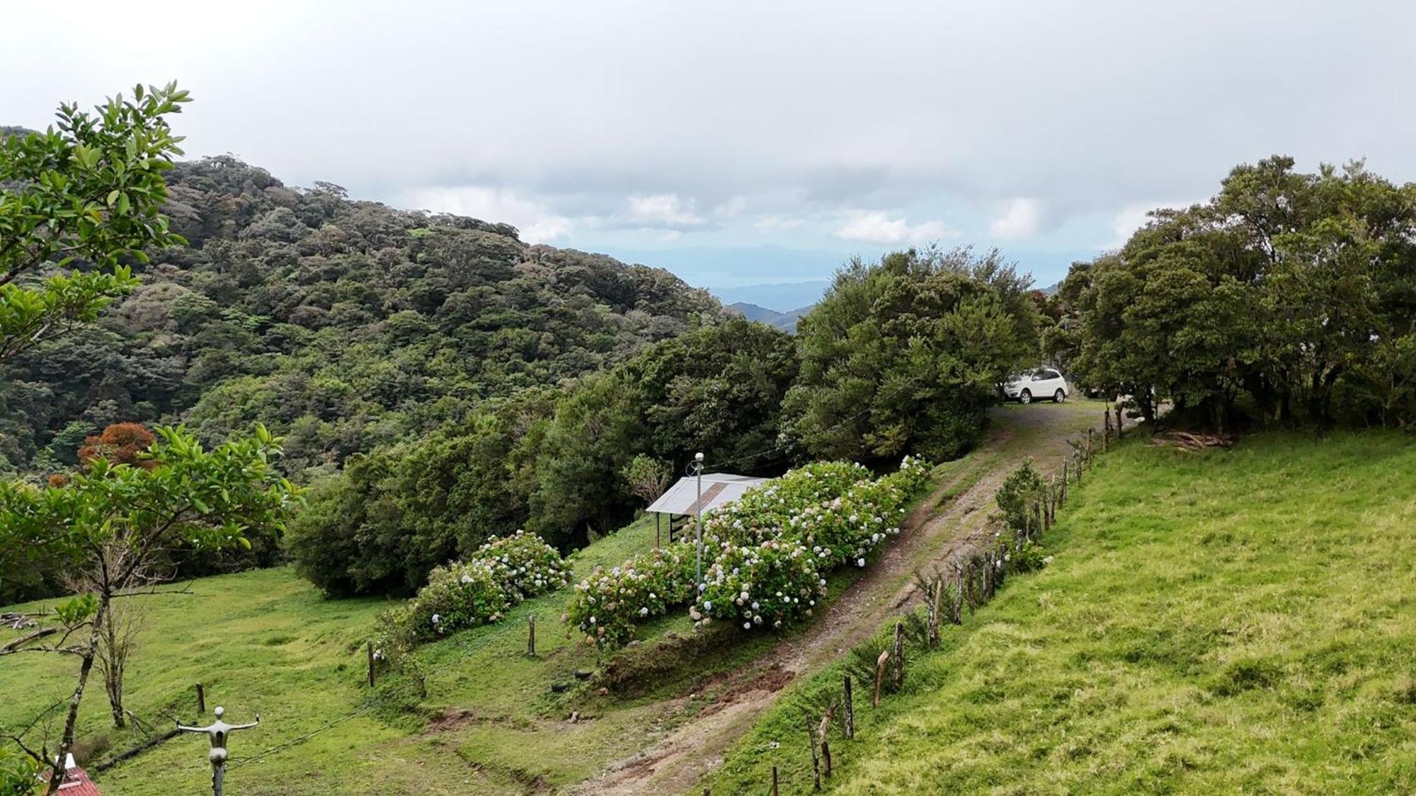 Dadirri House Minicasa Santa Elena Monteverde 外观 照片