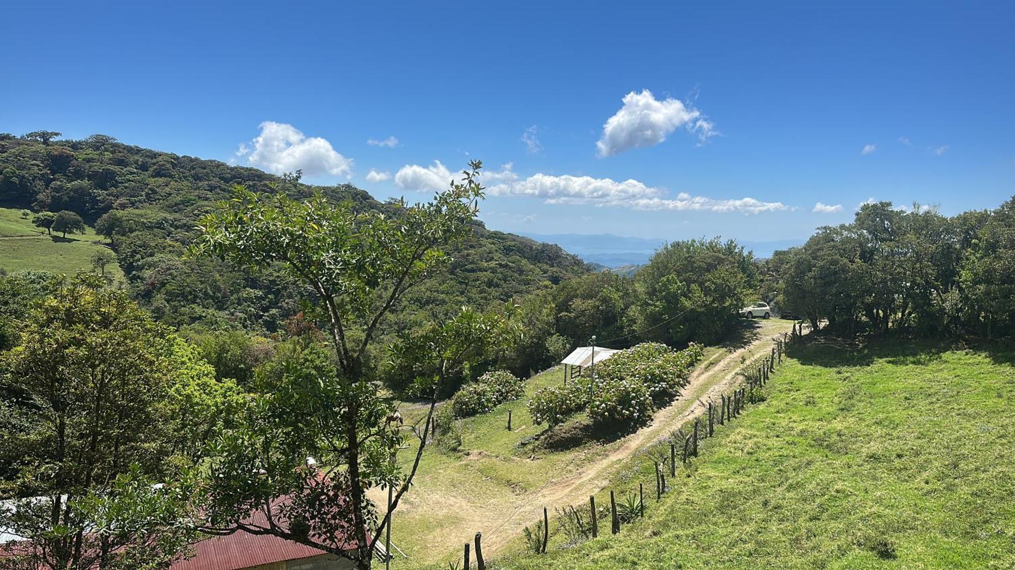 Dadirri House Minicasa Santa Elena Monteverde 外观 照片
